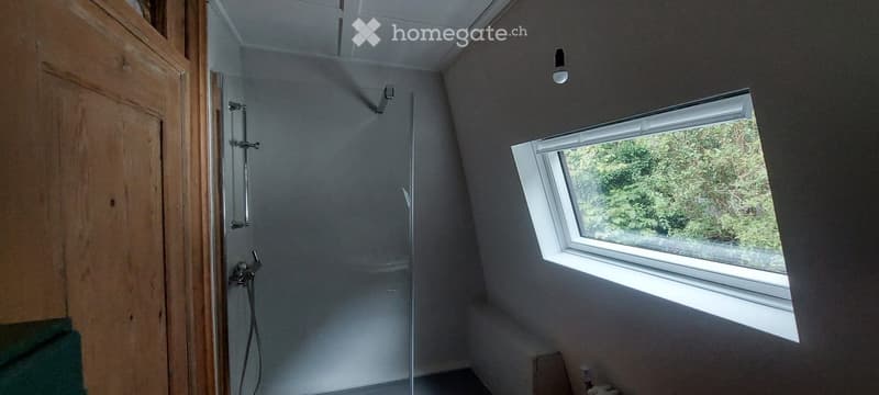 Modern bathroom with a glass-enclosed shower, sleek chrome fixtures, and a skylight window offering natural light.