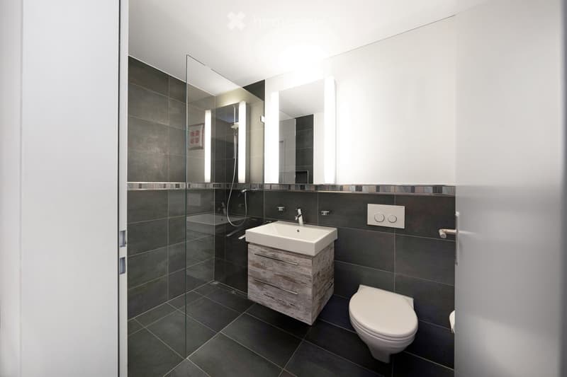 Modern bathroom with dark grey tiles, a white sink with wooden cabinet, a toilet, a large mirror, and a glass-enclosed shower area.