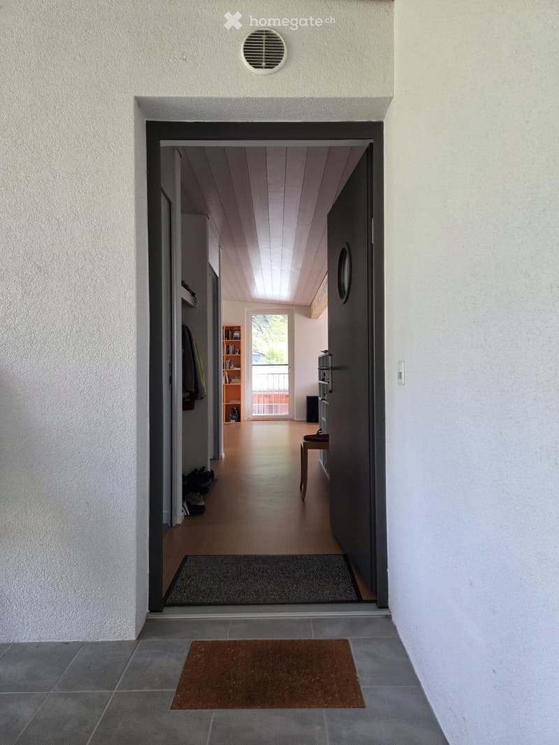 Modern hallway with white walls, wooden flooring, and a small table near the entrance. A coat rack and shelves are visible in the background, leading to a room with a balcony view.