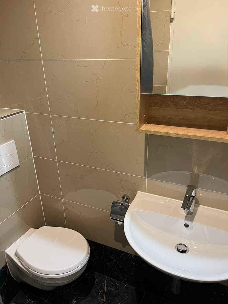 Bathroom with toilet, sink, and mirror