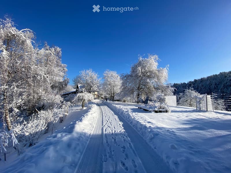 A snow-covered pathway lined with trees and a wooden fence, leading to a house in the distance.
