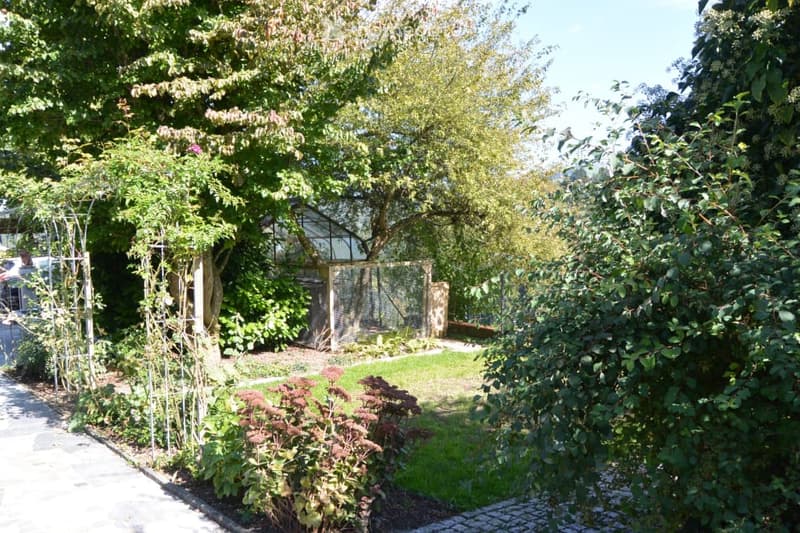 A lush garden with a variety of trees, shrubs, and a small greenhouse. The area features a paved pathway and a metal trellis with climbing plants.
