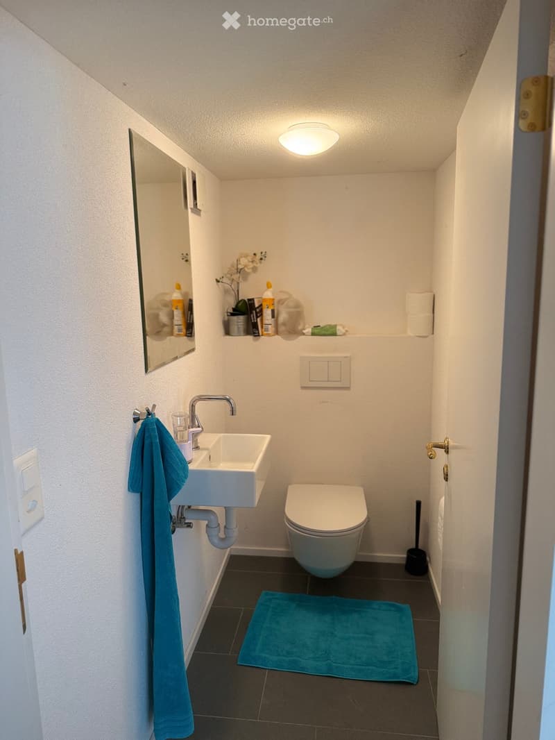 Modern, compact bathroom with white walls, dark tiled floor, a sink with a chrome faucet, a toilet, a mirror, a towel, and a small shelf with toiletries and a flower arrangement.