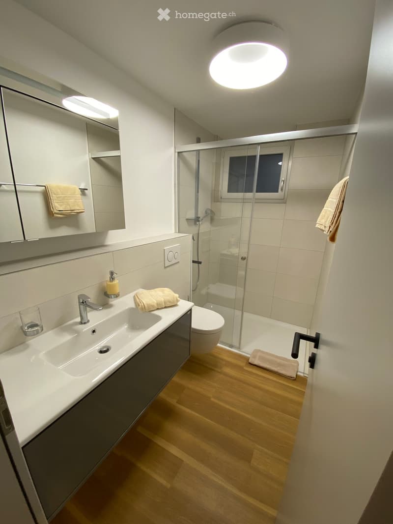 modern bathroom with white tiles, wooden floor, vanity with sink, mirror, and towel rack, glass shower enclosure, and a toilet