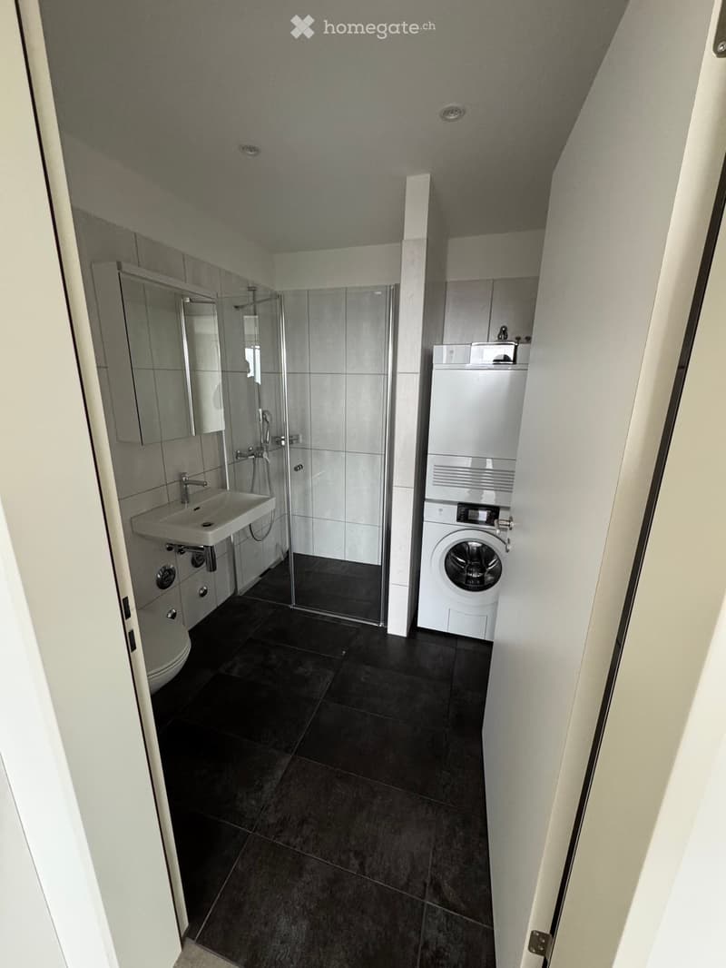 Modern bathroom with dark tiled floor, white sink, mirror, toilet, glass-enclosed shower, and stacked washer/dryer unit.