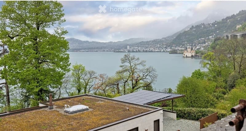 Roof terrace with solar panels, overlooking a lake and distant mountains, surrounded by trees.