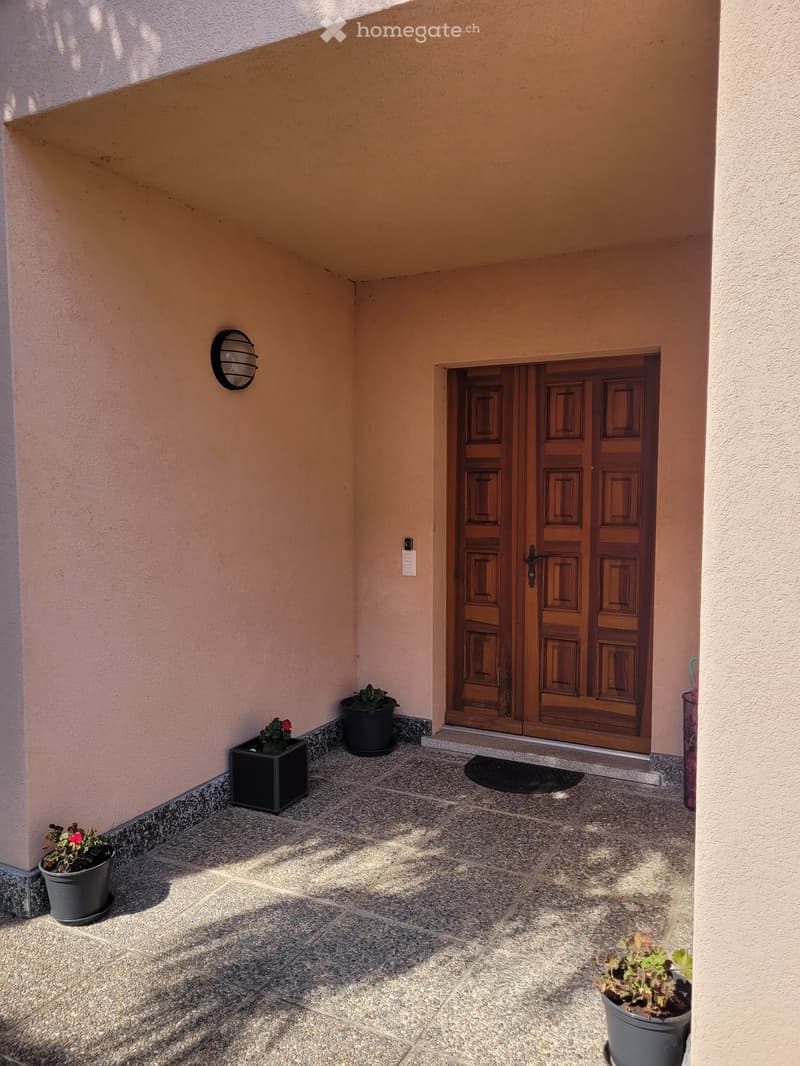 A small outdoor area with a tiled floor, a wooden double door leading inside, and several potted plants placed along the walls.