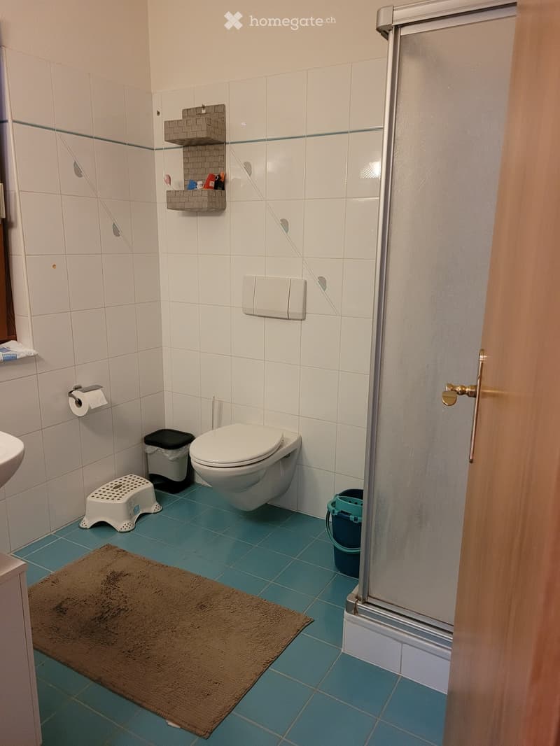 A small bathroom with white tiled walls, blue tiled floor, toilet, toilet paper holder, small white stool, trash bin, brown bathroom rug, and a shower area with a glass door.