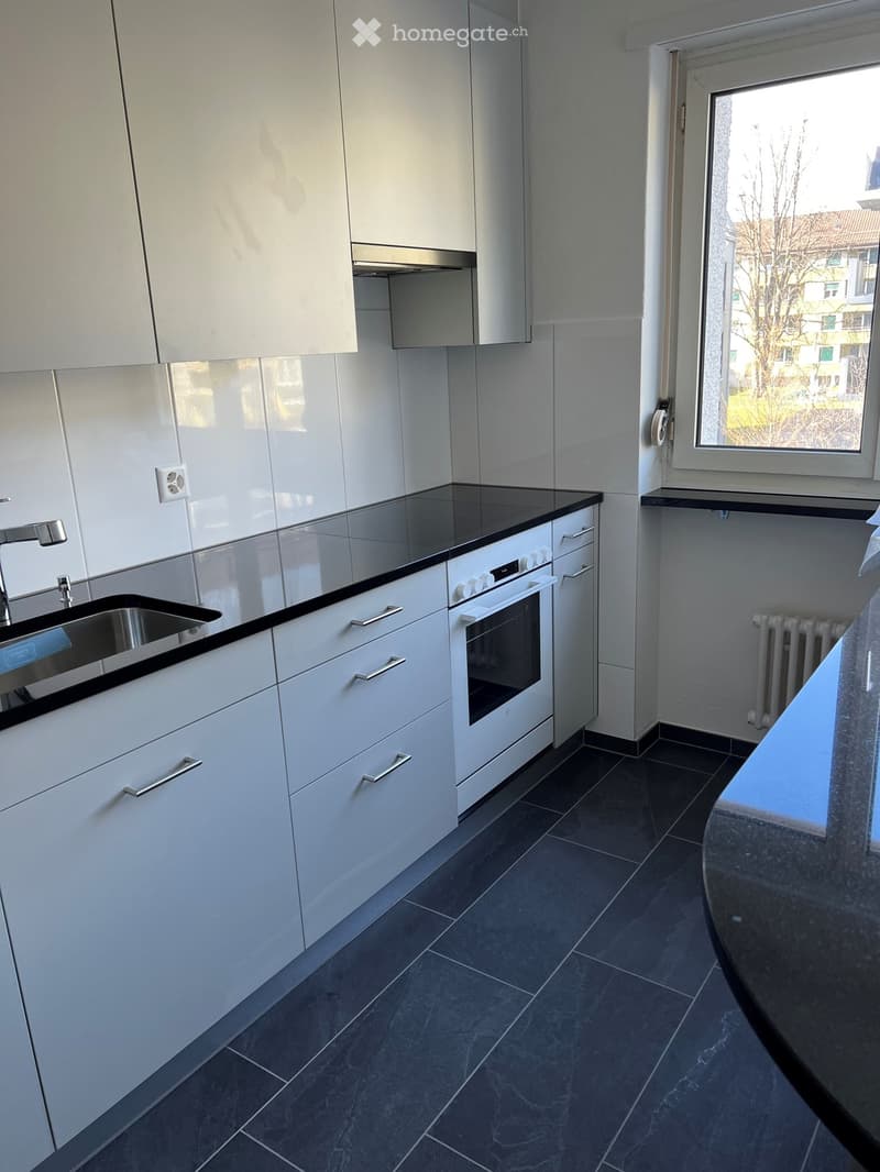 Modern kitchen with white cabinets, black countertops, stainless steel sink, and built-in oven. Features a window with a view of the outside and a radiator on the wall.