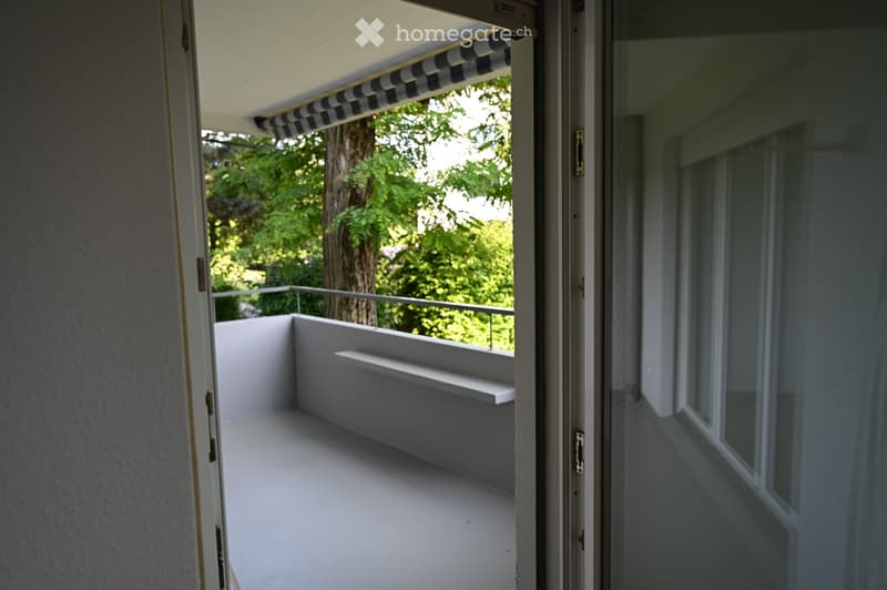 Open balcony with white floor, low white wall, and a small shelf, overlooking a green, tree-filled area.