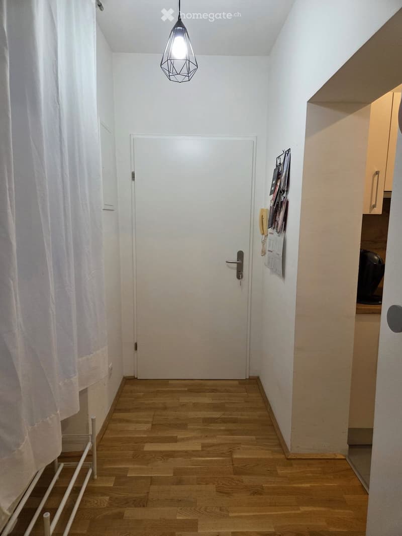 A narrow hallway with wooden flooring, white walls, and a closed door at the end. A hanging light fixture is visible, and a curtain is on the left side.