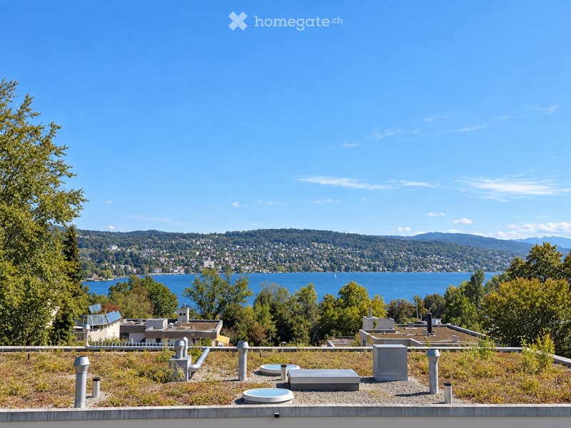 Green roof with small water features and a scenic view of a lake and distant mountains.