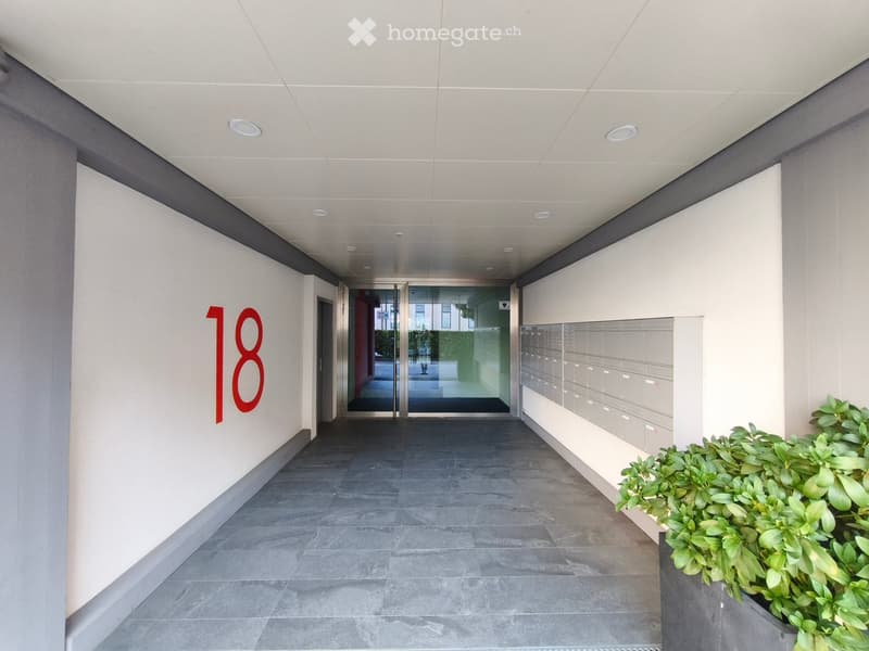 Modern hallway with grey tiled floor, white walls, ceiling lights, mailboxes, and a potted plant on the right side.