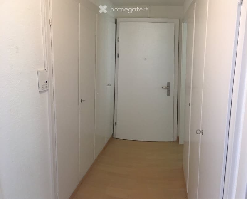Empty hallway with white walls, light brown carpet, and several closed doors.