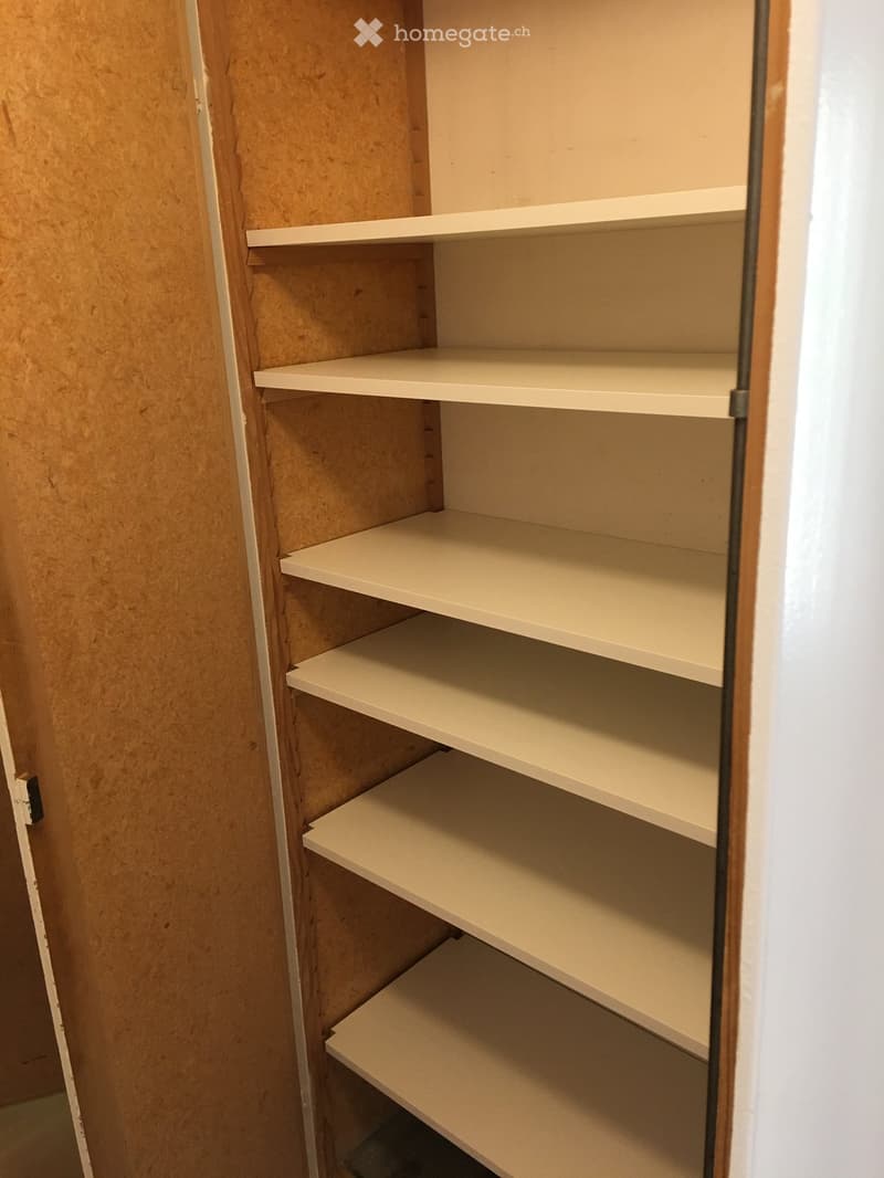 Empty closet with multiple beige shelves and wooden walls.