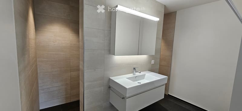 Modern bathroom with a white sink, built-in cabinet, and illuminated mirror above.