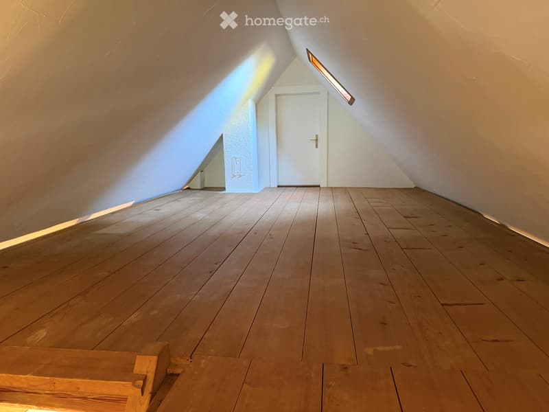 Empty attic space with wooden flooring, white walls, and a single white door leading to another area. Natural light streams in from a skylight.