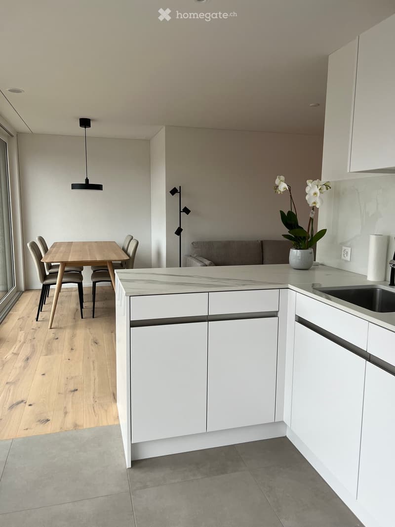 Modern kitchen with white cabinets, marble countertop, dining table with chairs, and a small sofa area with a flower pot.