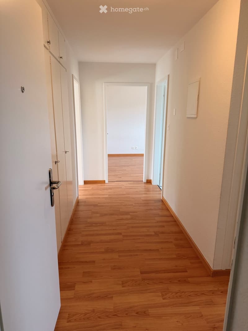 Empty hallway with wooden flooring, white walls, and several doors leading to other rooms.