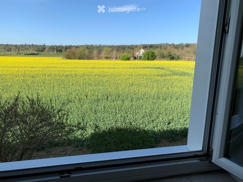 Wohnen im Grünen am Stadtrand (7)