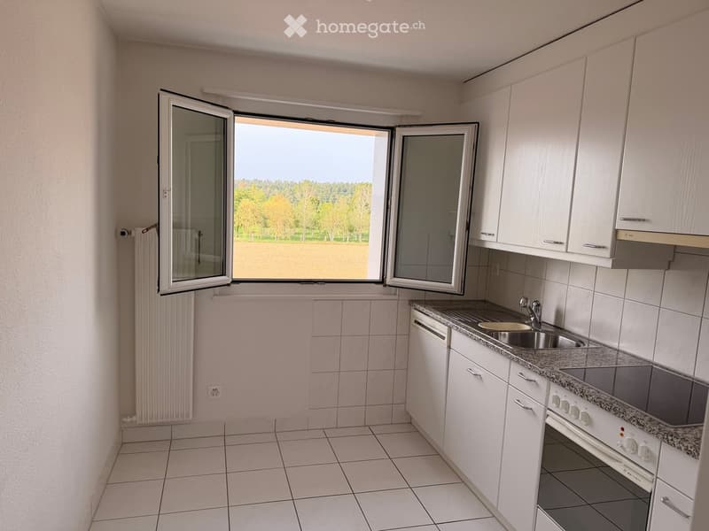 Modern kitchen with white cabinets, granite countertop, sink, oven, dishwasher, and large window overlooking a field.