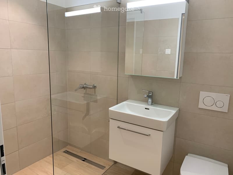 Modern bathroom with a white sink, mirror, and cabinet, featuring a glass-enclosed shower area with a modern faucet.