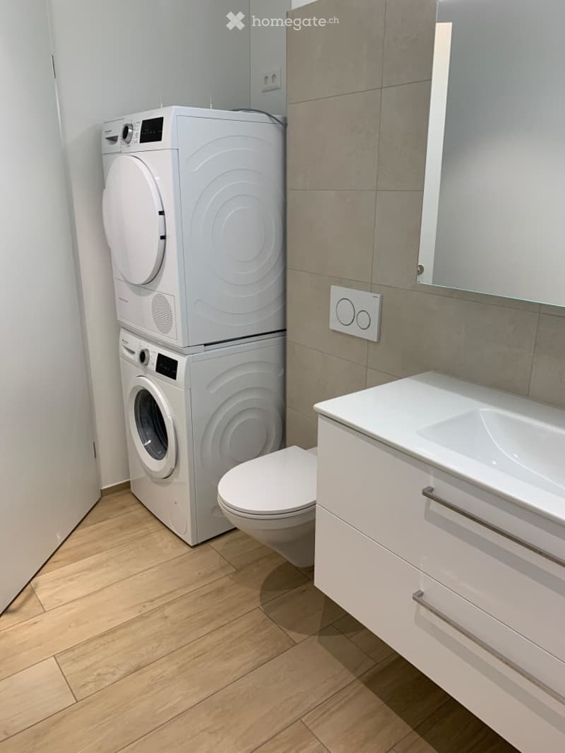 Modern bathroom with wooden flooring, white washing machine, toilet, sink, and cabinet.