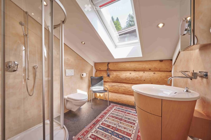 Shower enclosure, wooden wall, skylight, toilet, sink, chair, rug