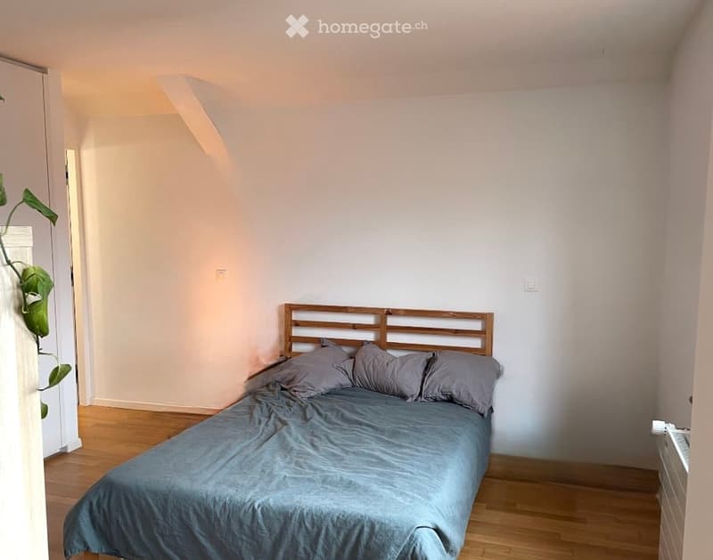 A small, modern bedroom with a wooden bed, grey bedding, a headboard, a wardrobe, and a potted plant on the left side.