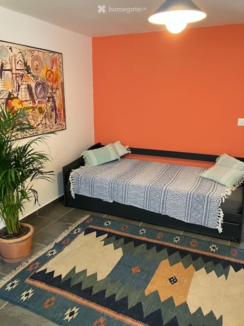 A small, cozy room with a daybed, pillows, a blanket, a colorful rug, a potted plant, and a painting on the wall.