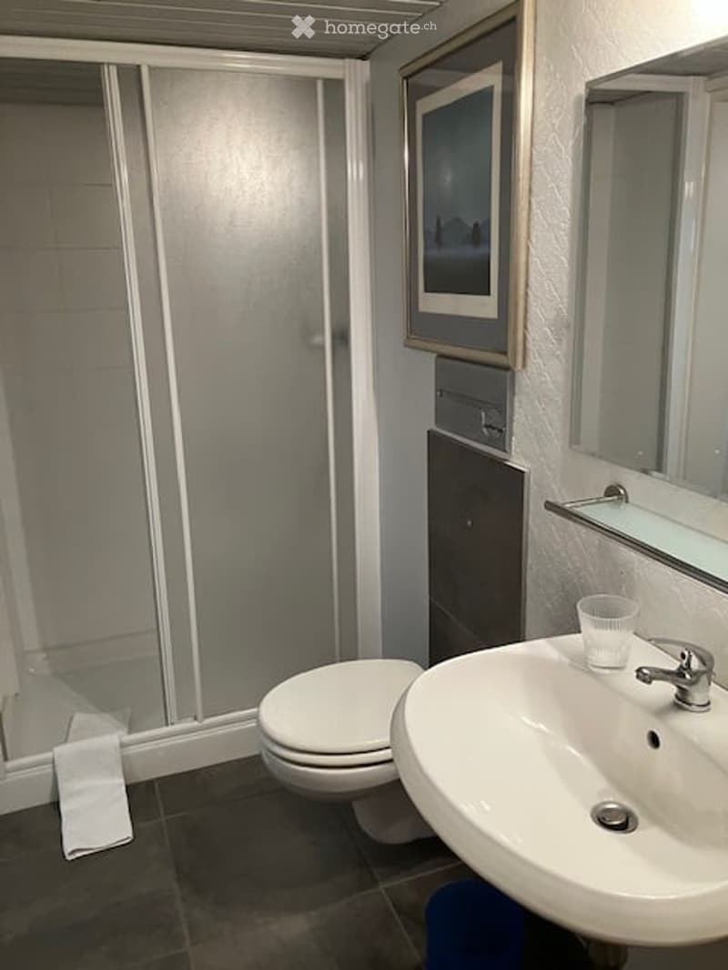 Modern bathroom with a white toilet, sink, and shower. Includes a mirror, a cup on the sink, and a towel hanging on the side.