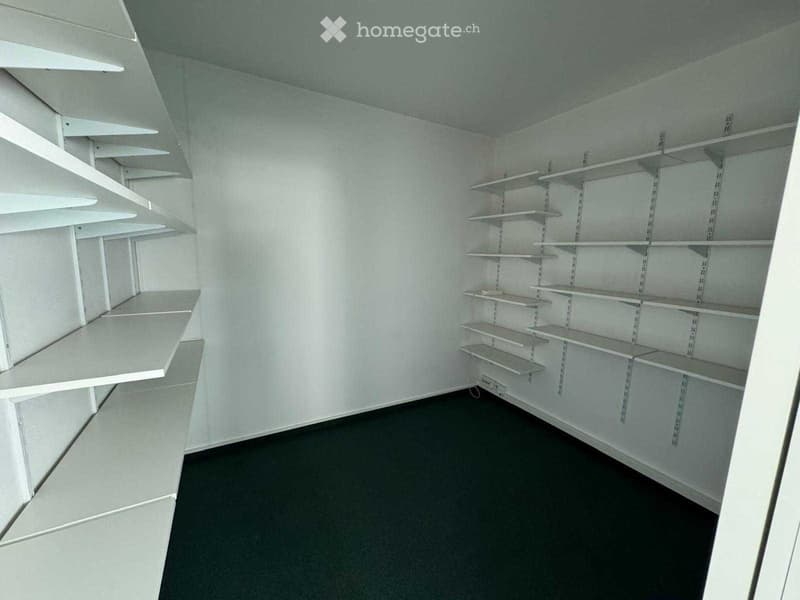 Empty room with white walls, dark flooring, and built-in white shelving units on both sides.