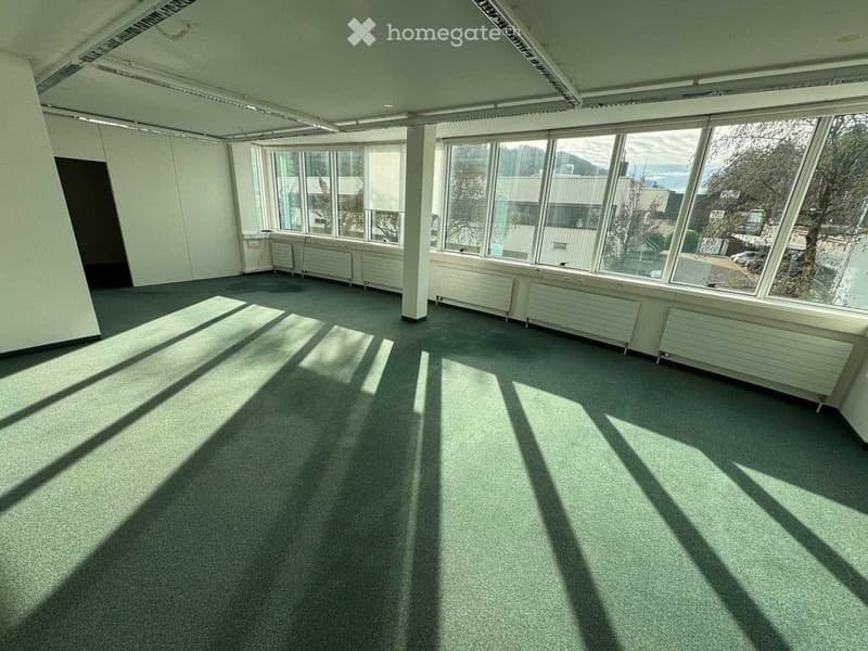 Empty room with large windows, green carpet, and radiators along the walls. No furniture or equipment present.