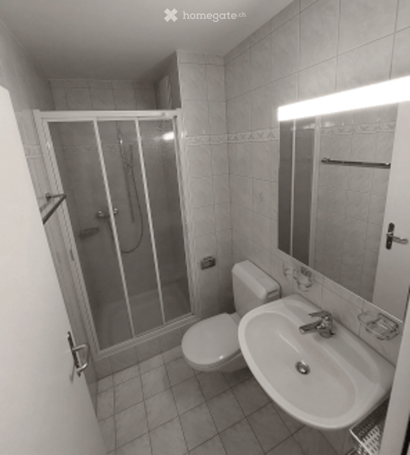 Modern bathroom with a white tiled shower stall, a toilet, a sink with a mirror, and a built-in shelf.