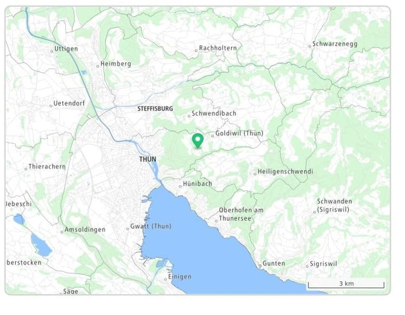 Map showing the location of Goldiwil (Thun) in Switzerland, surrounded by nearby towns and geographical features.