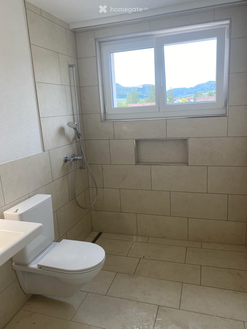 Renovierte 4 1/2 Zimmerwohnung im 2.OG (9)