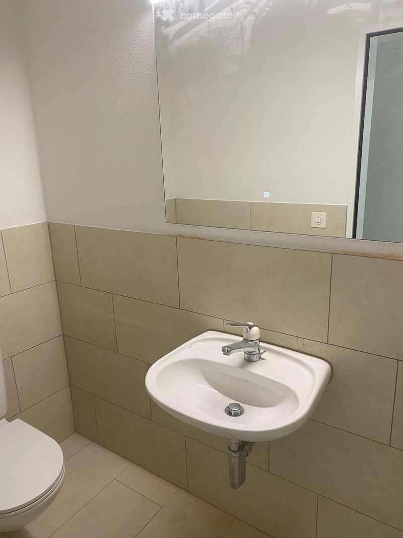 Renovierte 4 1/2 Zimmerwohnung im 2.OG (5)
