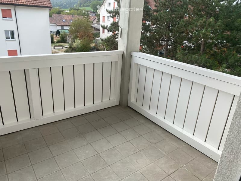 Renovierte 4 1/2 Zimmerwohnung im 2.OG (6)