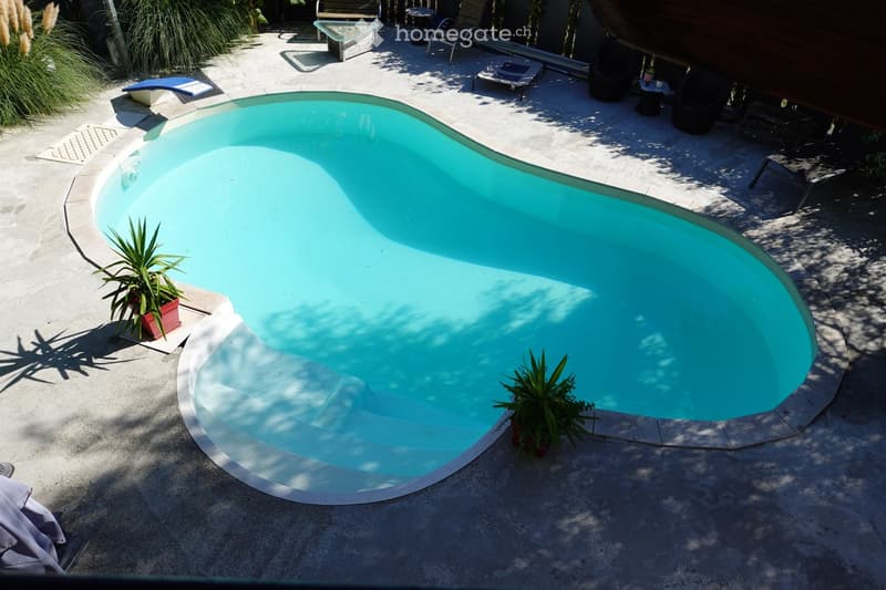 A private outdoor area featuring a swimming pool with clear blue water, surrounded by a concrete deck, lounge chairs, and potted plants.