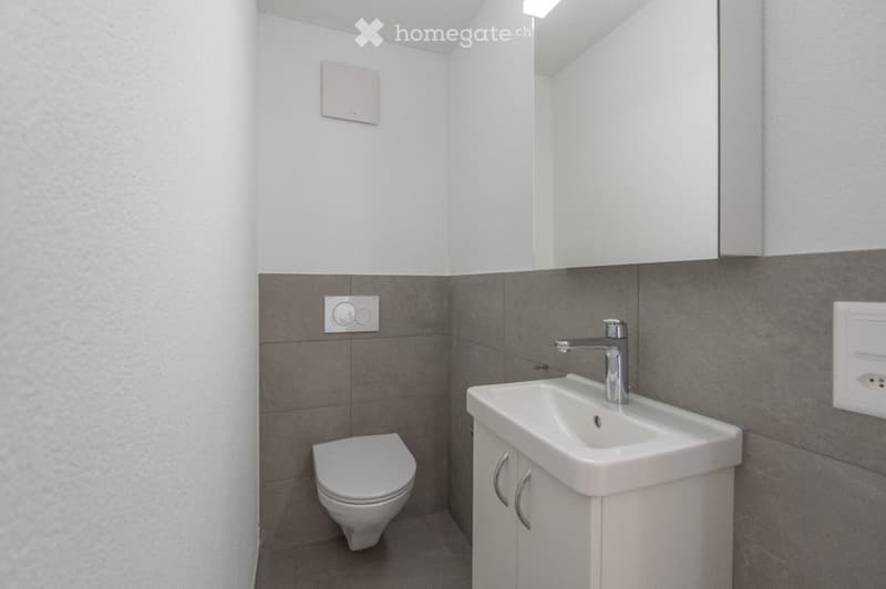 Modern bathroom with a white toilet, a white sink with a chrome faucet, and a mirrored cabinet above the sink. The walls are tiled in a two-tone design with light grey upper tiles and darker grey lower tiles.