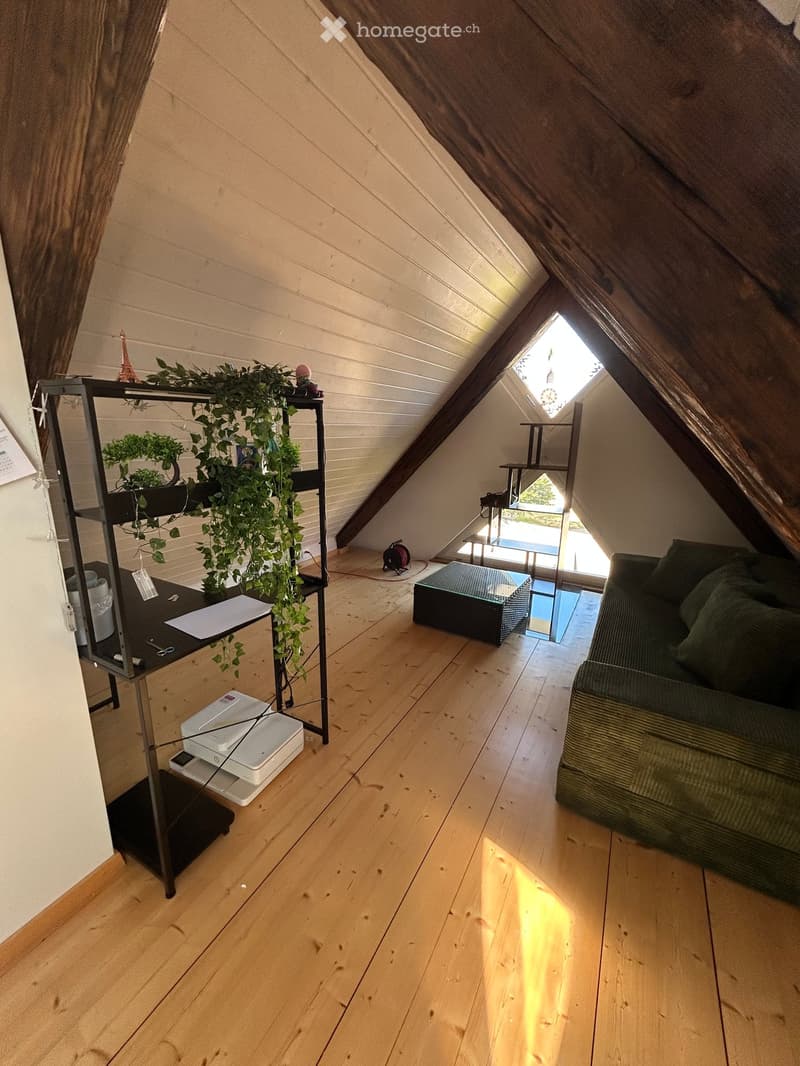Attic room with wooden floors, slanted wooden ceiling, and large skylight. Features a green sofa, a black shelf with plants, and a small table with items.