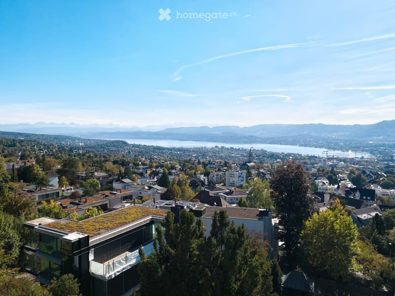 Aerial view of a suburban area with a modern house featuring a green roof, surrounded by trees and other residential buildings, with a lake and distant mountains in the background.