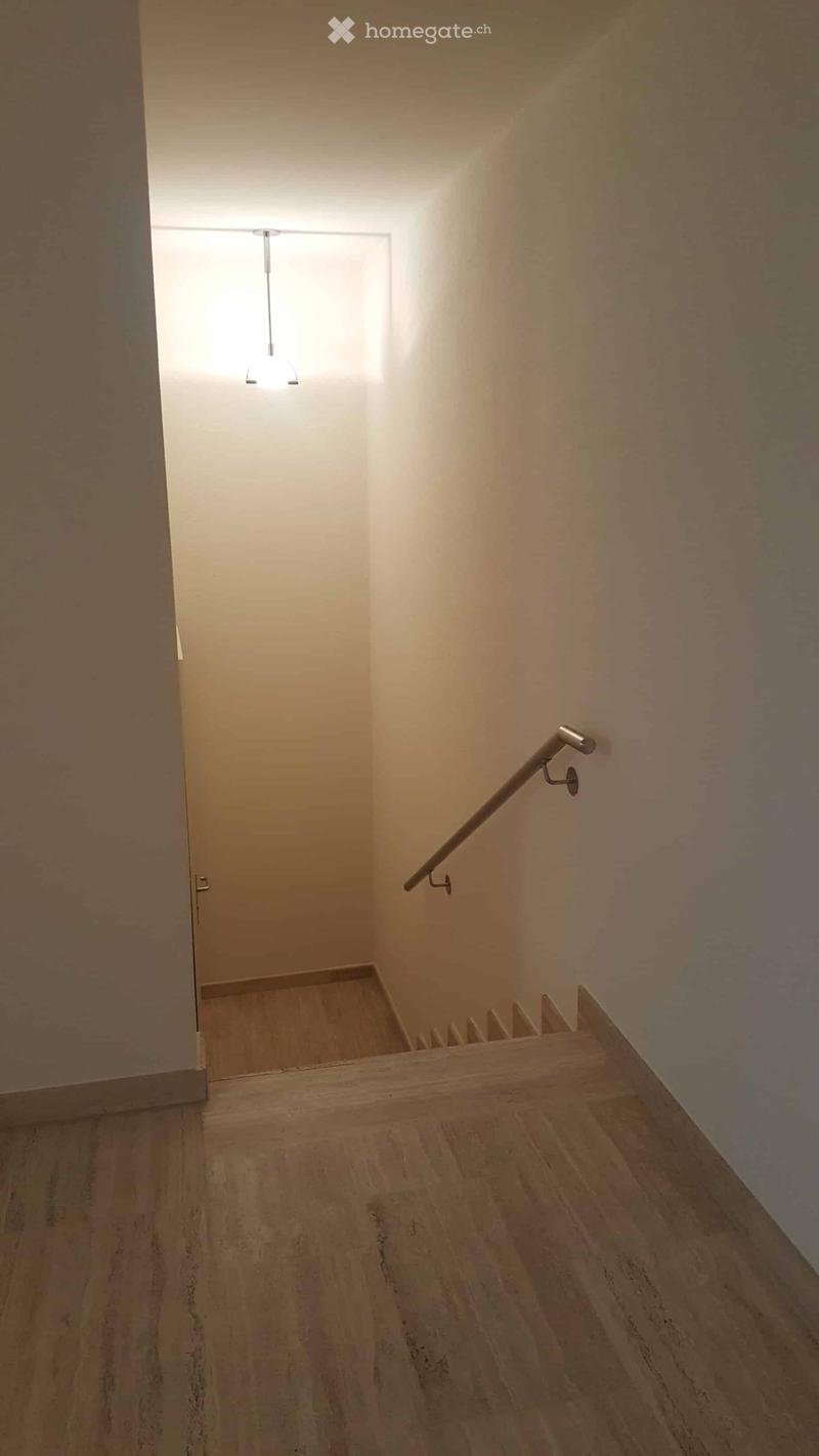 A modern hallway with wooden flooring, white walls, a pendant light fixture, and a metal handrail leading to a closed door at the end.