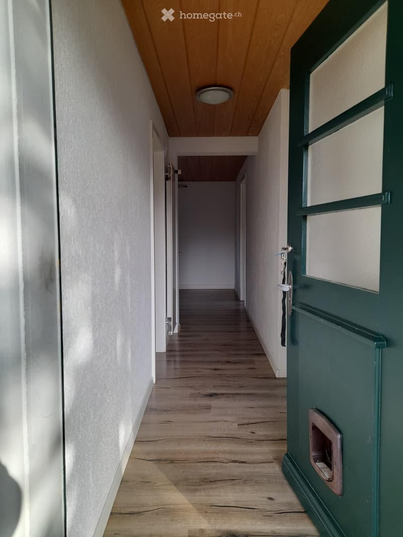 A narrow hallway with wooden flooring, white walls, and a green door at the end. The ceiling has a wooden panel design and a round light fixture.
