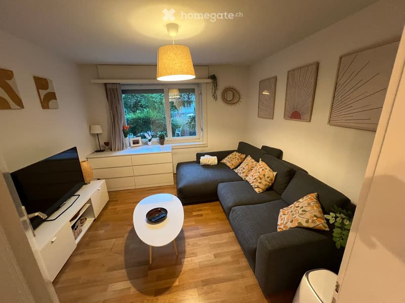 Modern living room with a grey sectional sofa, colorful throw pillows, a white coffee table, a flat-screen TV on a white stand, and a hanging pendant light. The room features wooden flooring and large windows with curtains, offering a view of greenery out
