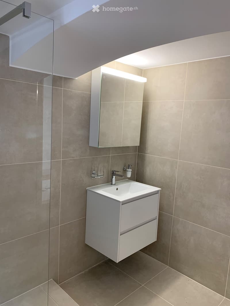 Modern bathroom with a white sink cabinet, mirror, and glass shower enclosure.