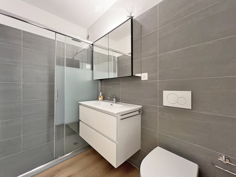 Modern bathroom with grey tiles, white sink cabinet, mirror, and glass-enclosed shower.