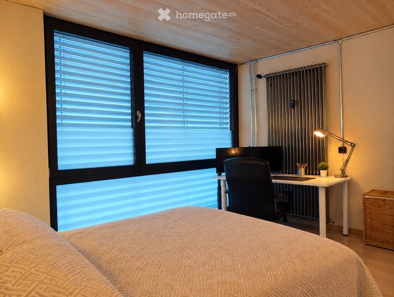 Modern bedroom with a large window, bed, desk with a chair, screen, lamp, radiator, and small plant.