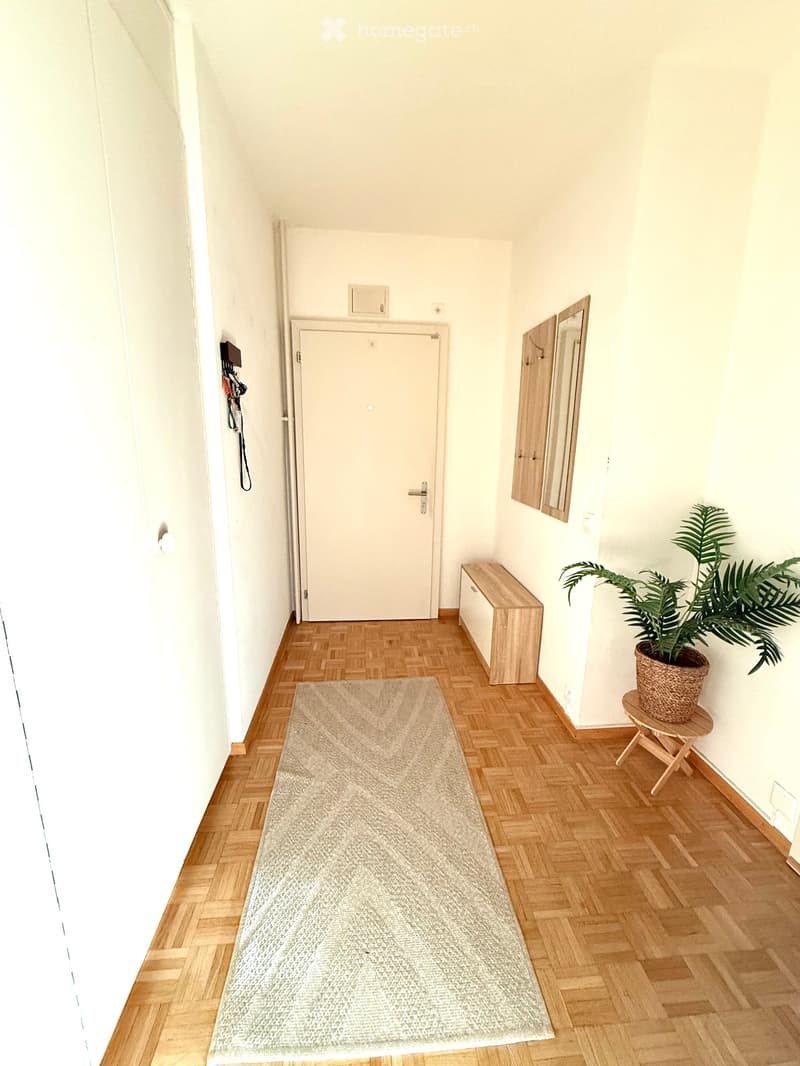 Hallway with wooden herringbone flooring, white walls, a grey runner rug, a small wooden bench, a potted plant on a wooden stool, and a closed door.