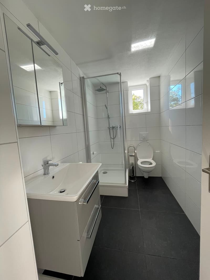 Modern bathroom with white tiles, a sink with a chrome faucet, a toilet, a glass-enclosed shower, and a large mirror above the sink.